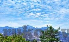篮球世界杯美国对战波兰-篮球世界杯，美国与波兰的激烈对决
